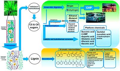 Frontiers | Advances in Pretreatment of Straw Biomass for Sugar 